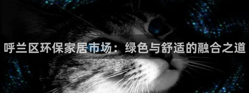 杏宇注册线路：呼兰区环保家居市场：绿色与舒适的融合之道