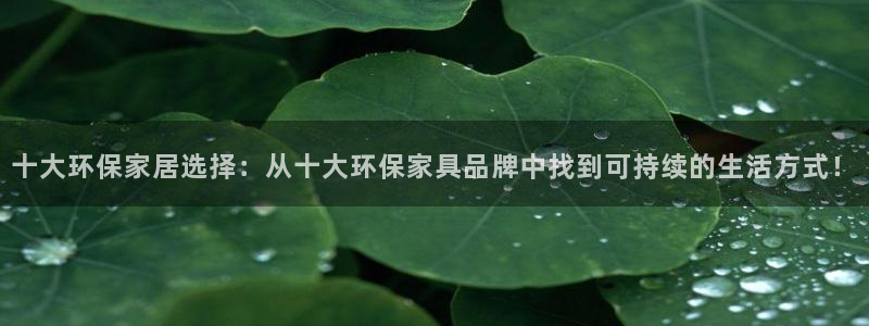 杏宇平台官方登录：十大环保家居选择：从十大环保家具品牌中找到