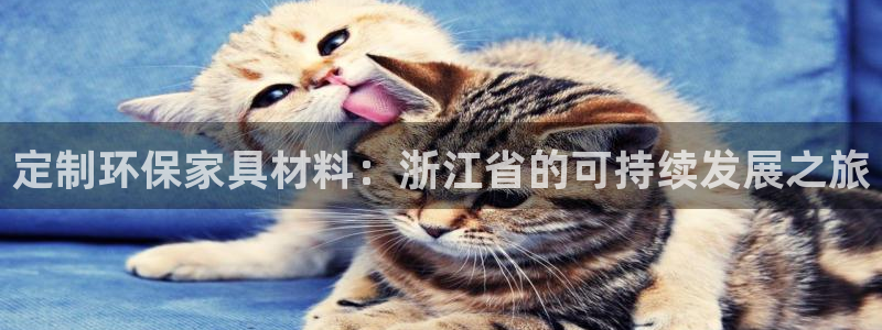 杏宇代理连接：定制环保家具材料：浙江省的可持续发展之旅