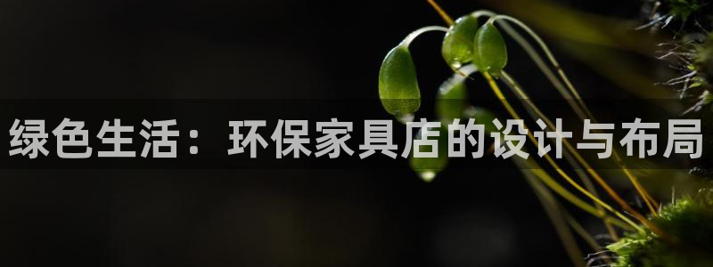 杏宇平台注册代理：绿色生活：环保家具店的设计与布局