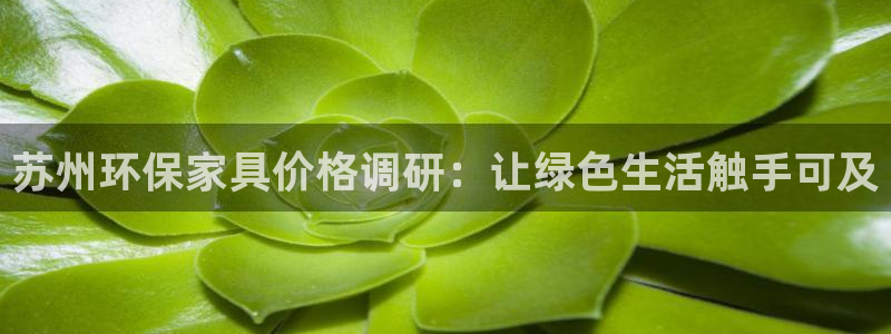 杏宇平台登陆地址