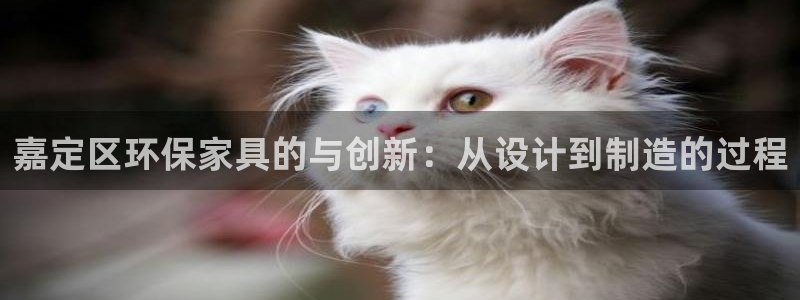 杏宇平台测速登录：嘉定区环保家具的与创新：从设计到制造的过程