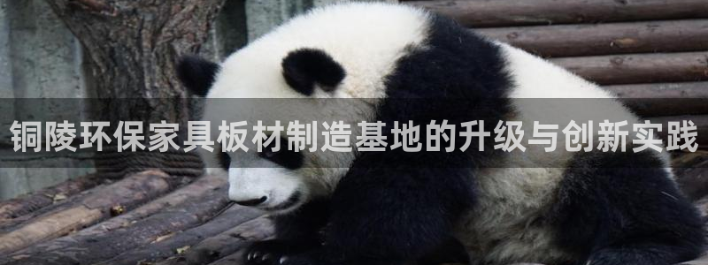 杏宇平台登录检测：铜陵环保家具板材制造基地的升级与创新实践