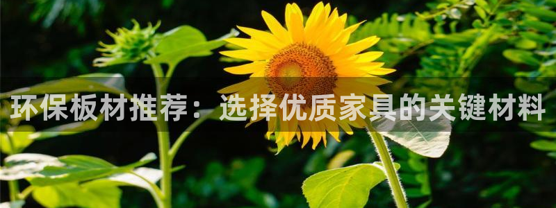 杏宇平台正规么：环保板材推荐：选择优质家具的关键材料