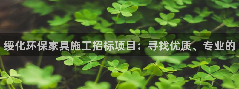 杏宇总代理：绥化环保家具施工招标项目：寻找优质、专业的